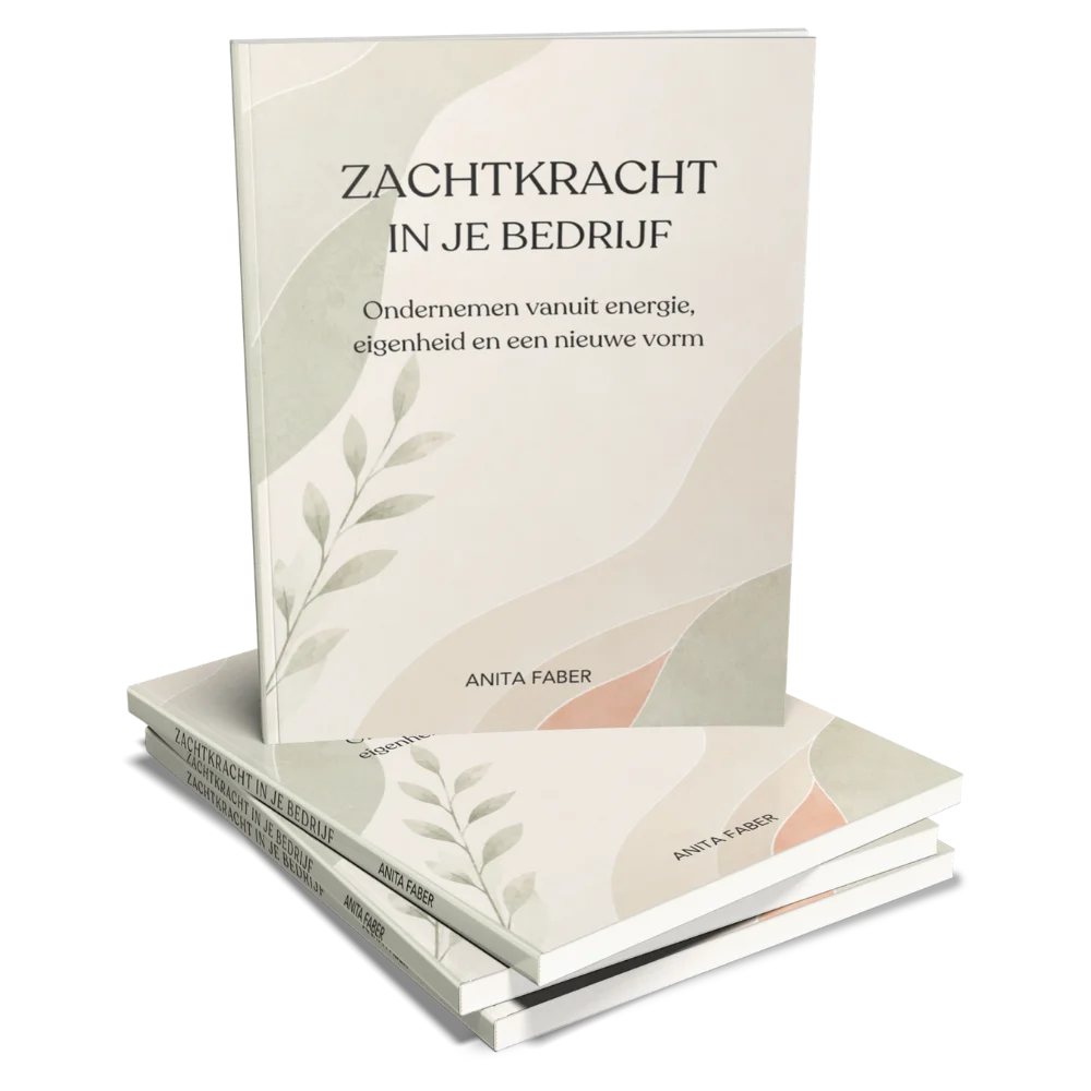 Boek Zachtkracht in je bedrijf